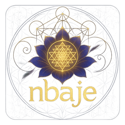 nbaje logo